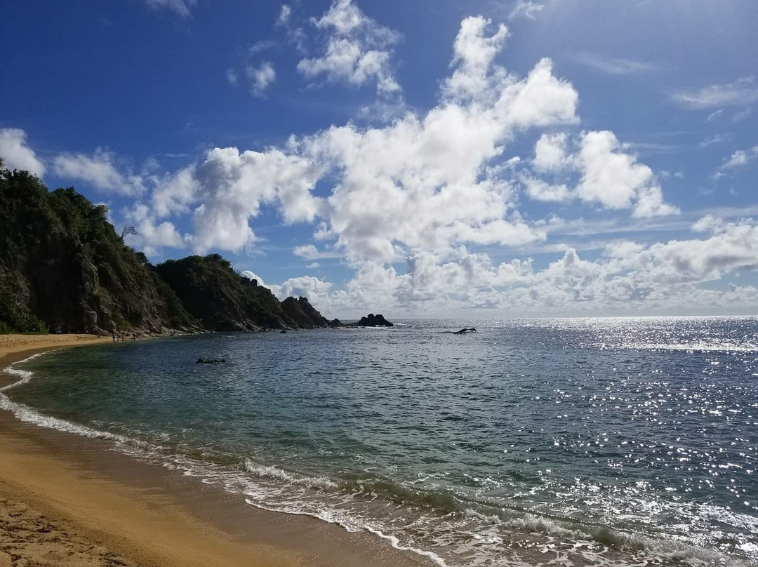 Punta Yeguas Beach景点图片