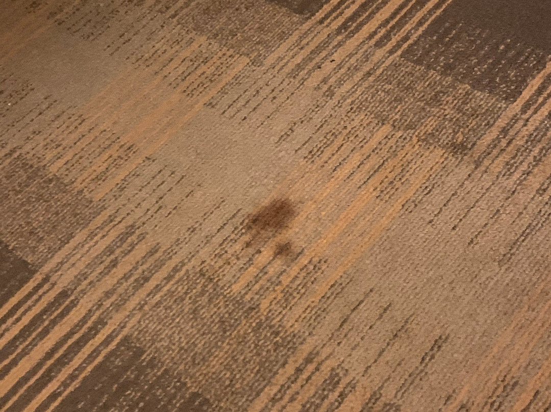 Holiday Inn Express & Suites Orangeburg By IHG主图