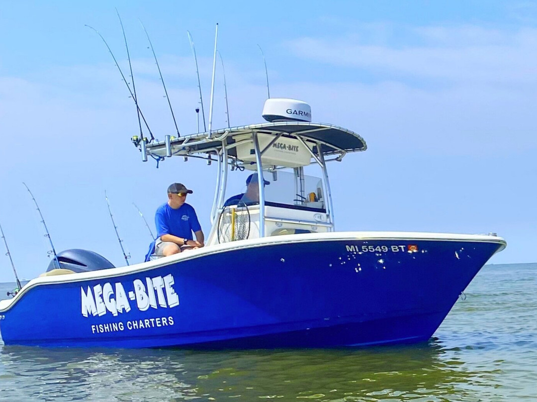 Mega-Bite Fishing Charters, LLC景点图片