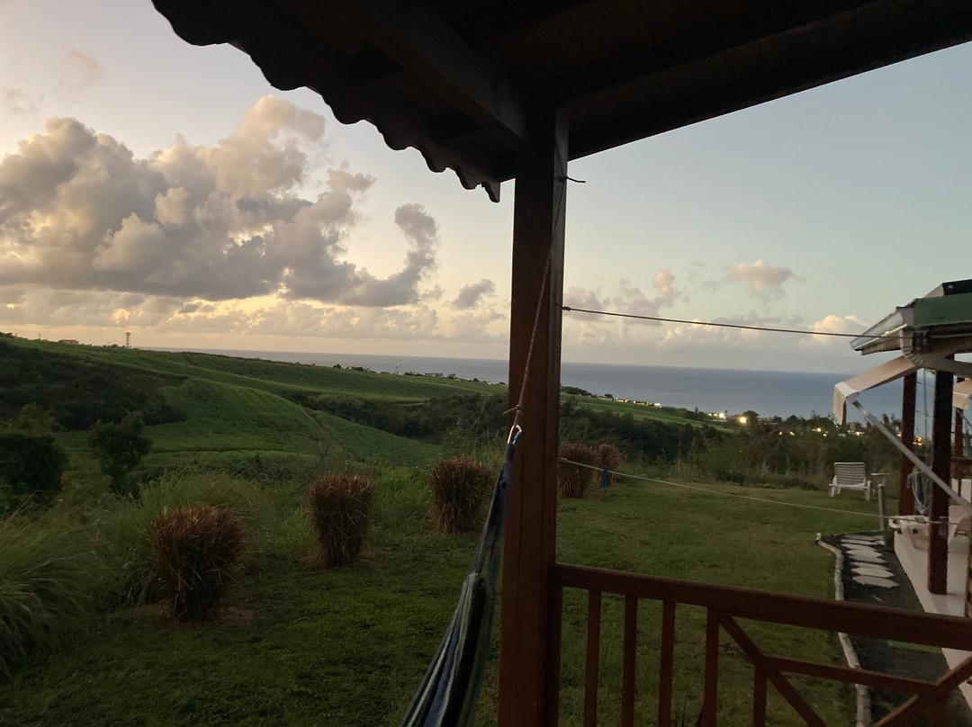 Paradis Tropical appart' hotel主图