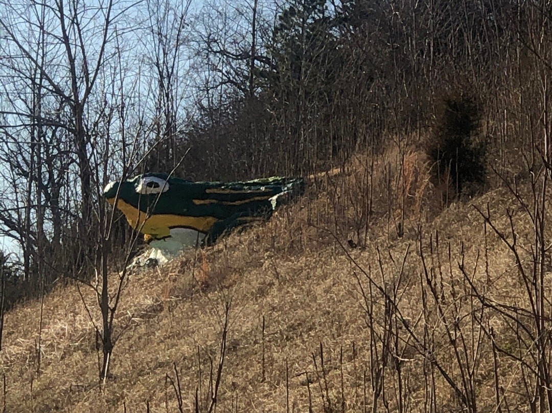 Frog Rock-Waynesville必去景点