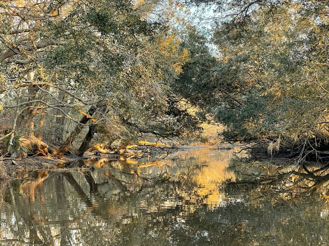 Happiness Bayou Tours-新奥尔良必去景点