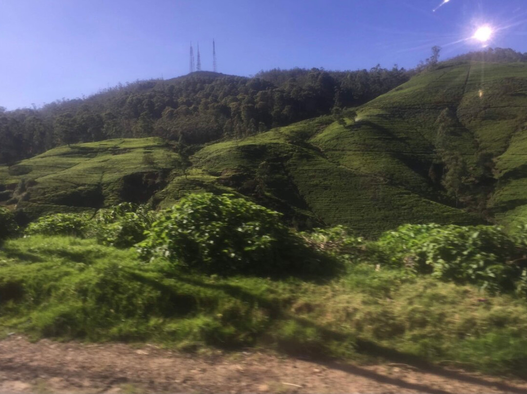 World's End-Pattipola必去景点