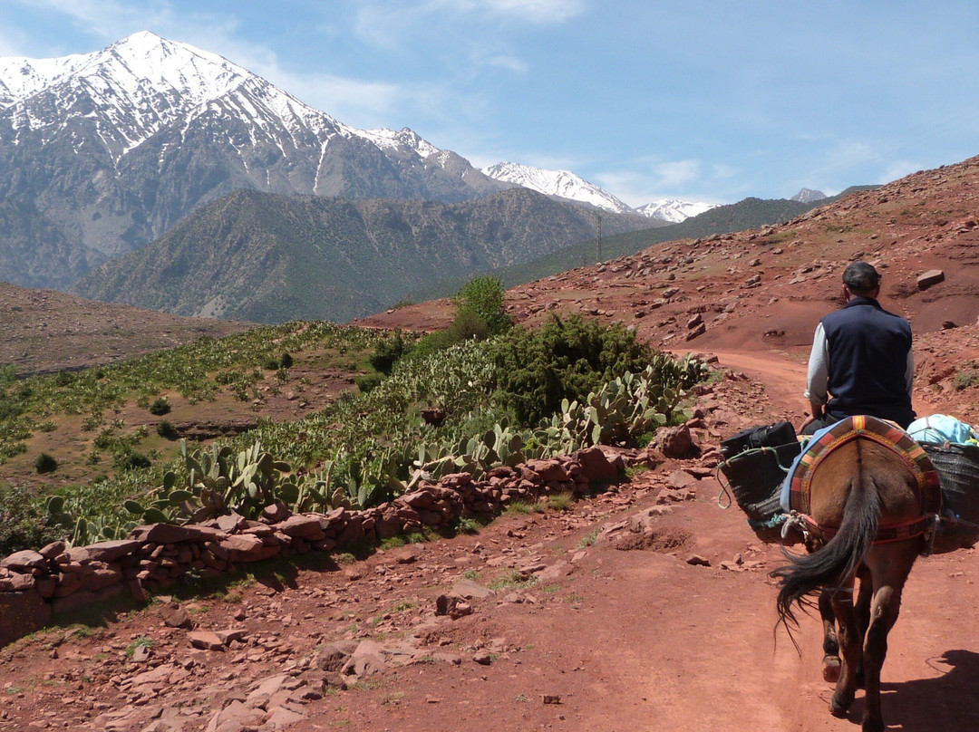 Trekking in Morocco-Asni必去景点