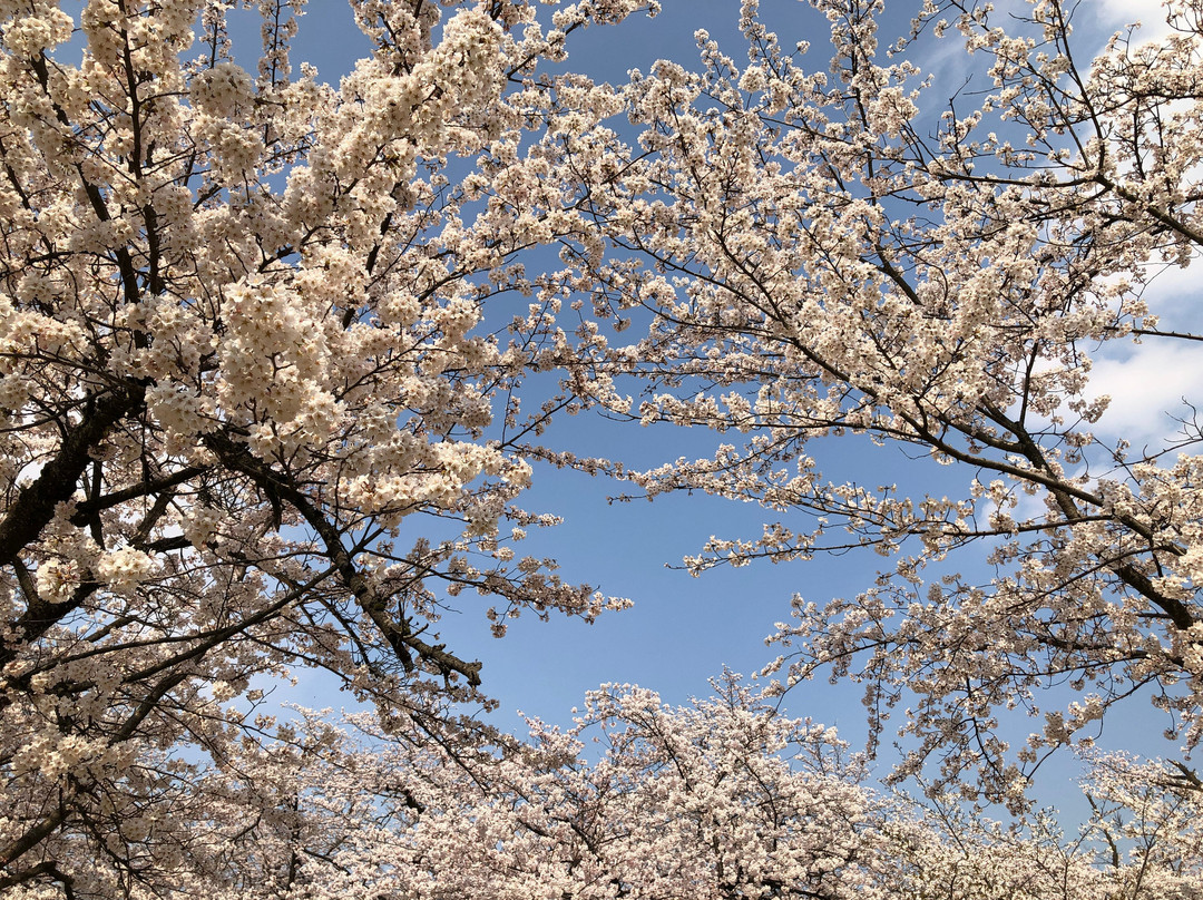 Yukyuzan Park-长冈市必去景点