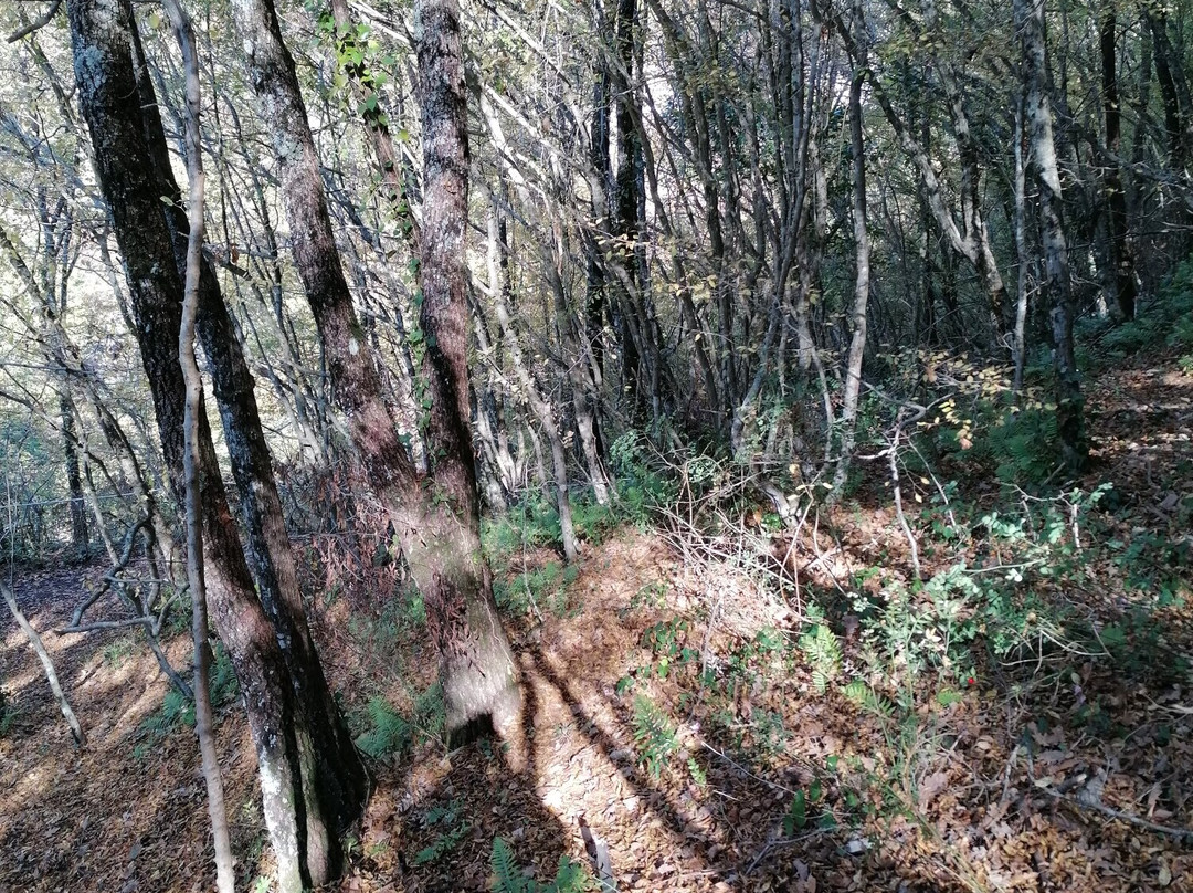 Cascate Di Carpinone-Carpinone必去景点