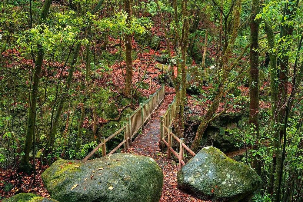 La Palma Photo Tours景点图片