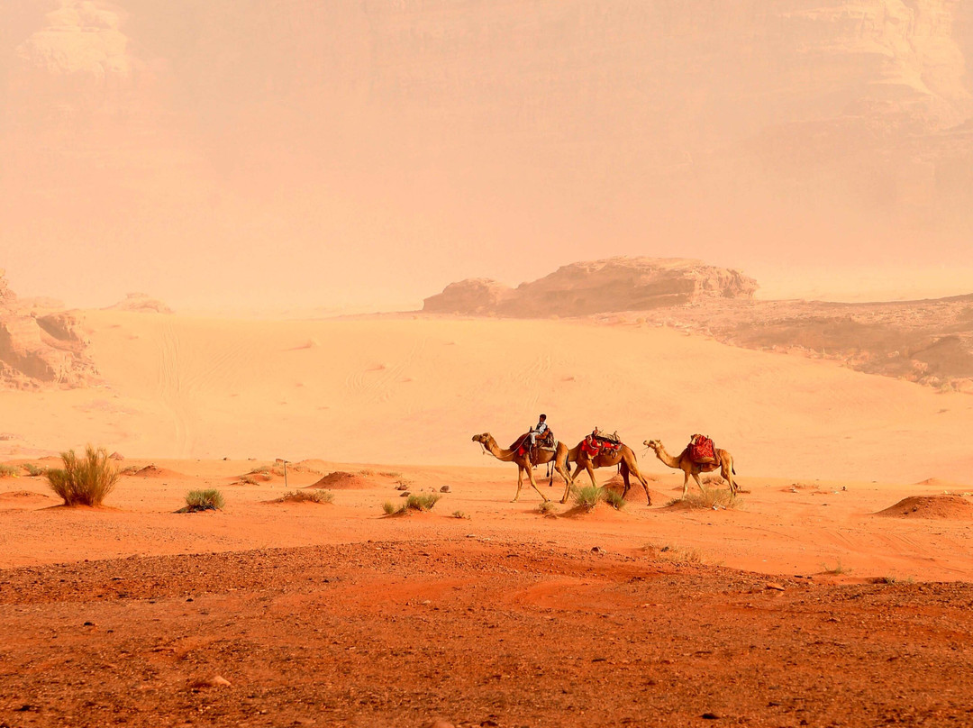 Axis Destination Management