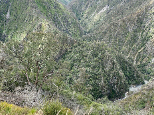 Not Tia Falls (residentials)-Walcha必去景点