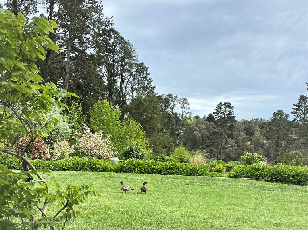 乡间花园小屋酒店主图