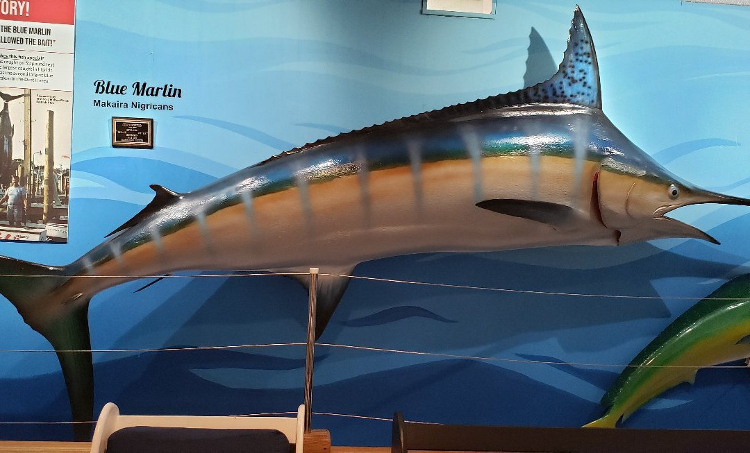 Destin History & Fishing Museum景点图片