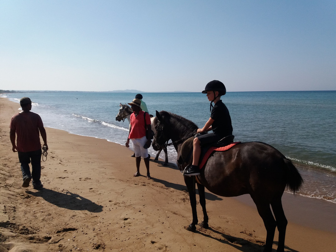 Jae Academy-Amaliada必去景点