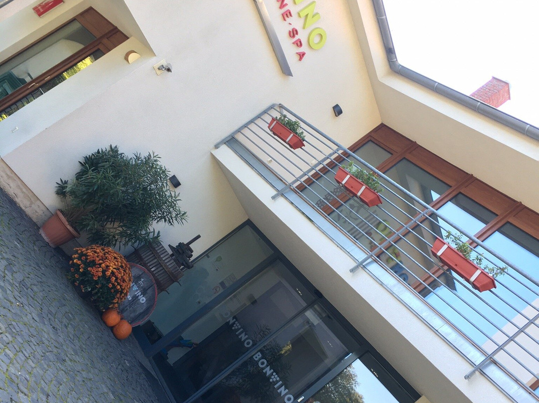 Hotel Bonvino Wine and Spa Badacsony主图