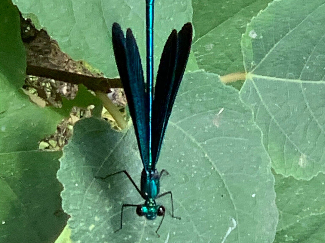 Sacred Spring Vasiliska-Kamani必去景点