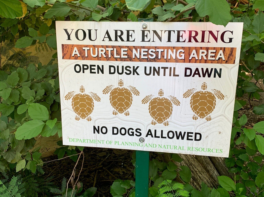 Shoy Beach-圣克鲁斯必去景点