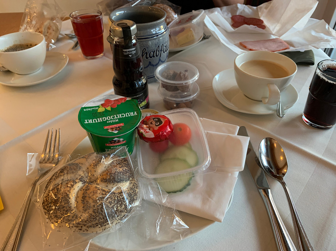 莱茵酒店主图