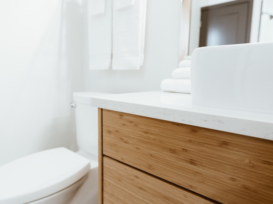 The Flying Steamshovel主图