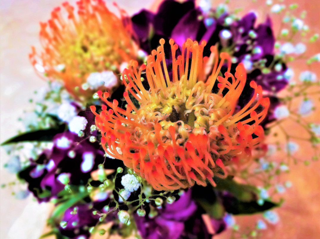 Ito-Yokado Akishima-昭岛市必去景点