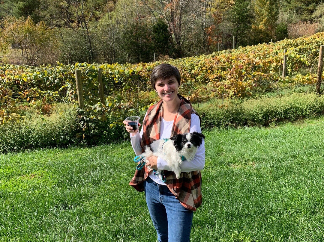 MountainRose Vineyards-Wise必去景点