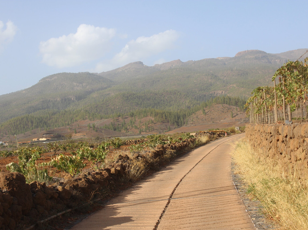 Quad Squad Tenerife-阿罗纳必去景点