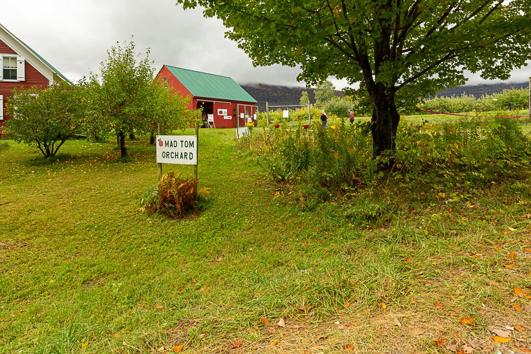 Mad Tom Orchard-East Dorset必去景点
