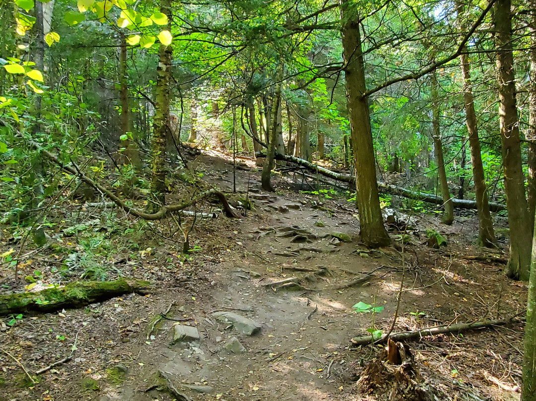 Door Bluff Headland’s County Park-Ellison Bay必去景点