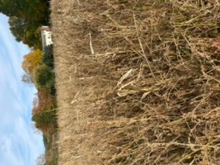 Riverview Farms-Glastonbury必去景点