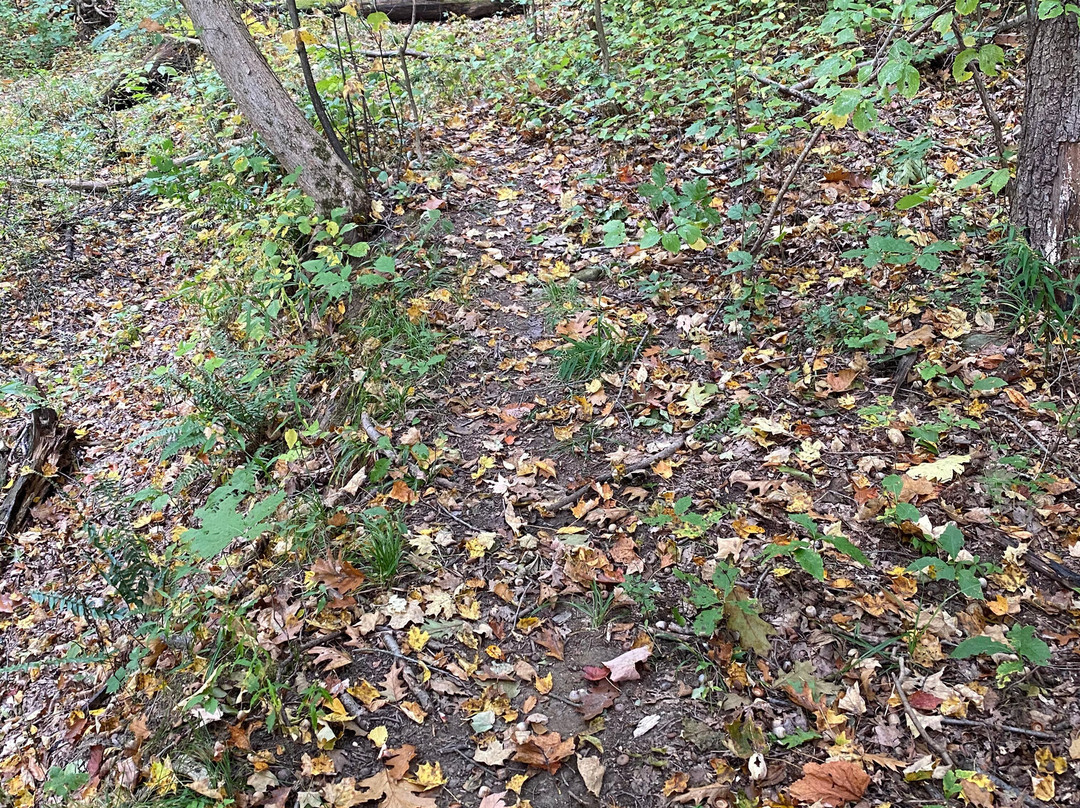 Swine Creek Reservation-Middlefield必去景点