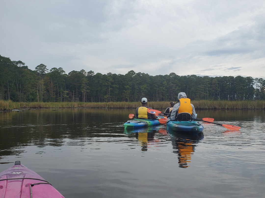 Blackwater Adventures-坎布里奇必去景点