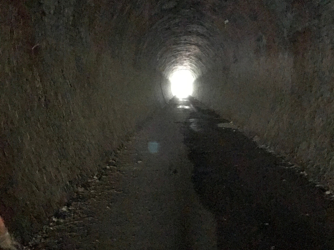 Cheviot Tunnel景点图片