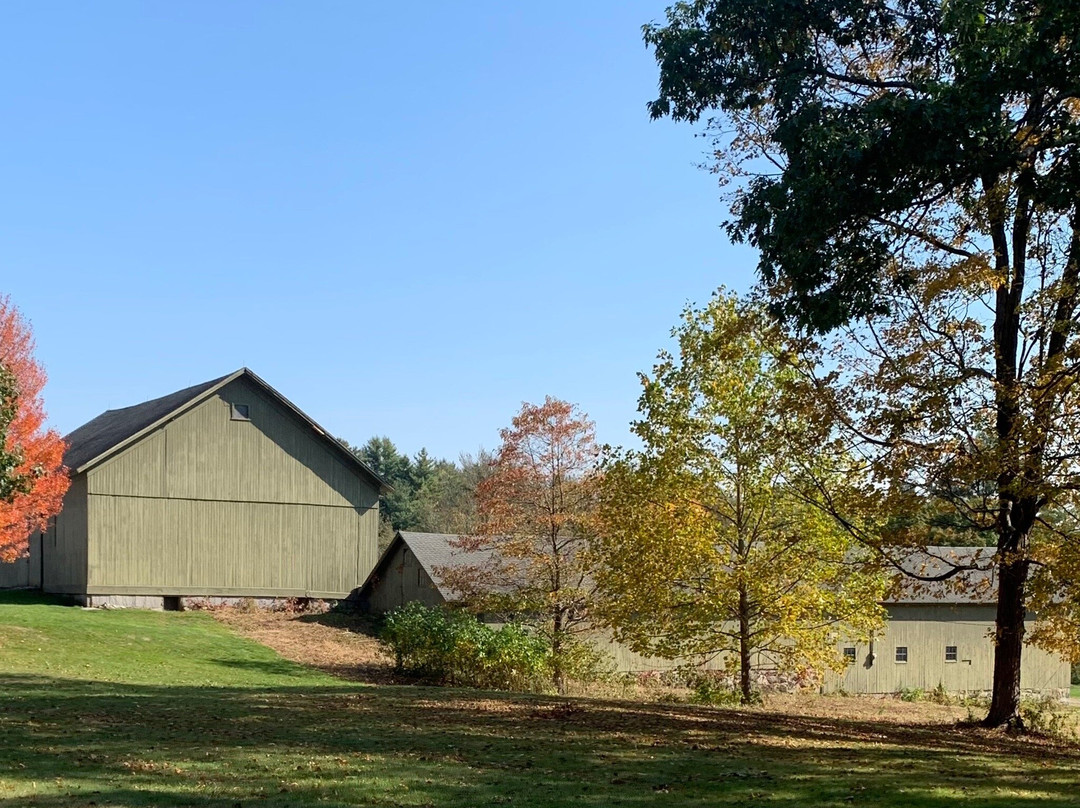White Memorial Conservation Center-利奇菲尔德必去景点