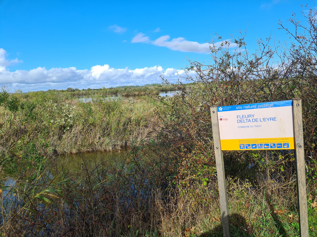 Sentier du Delta de la Leyre景点图片