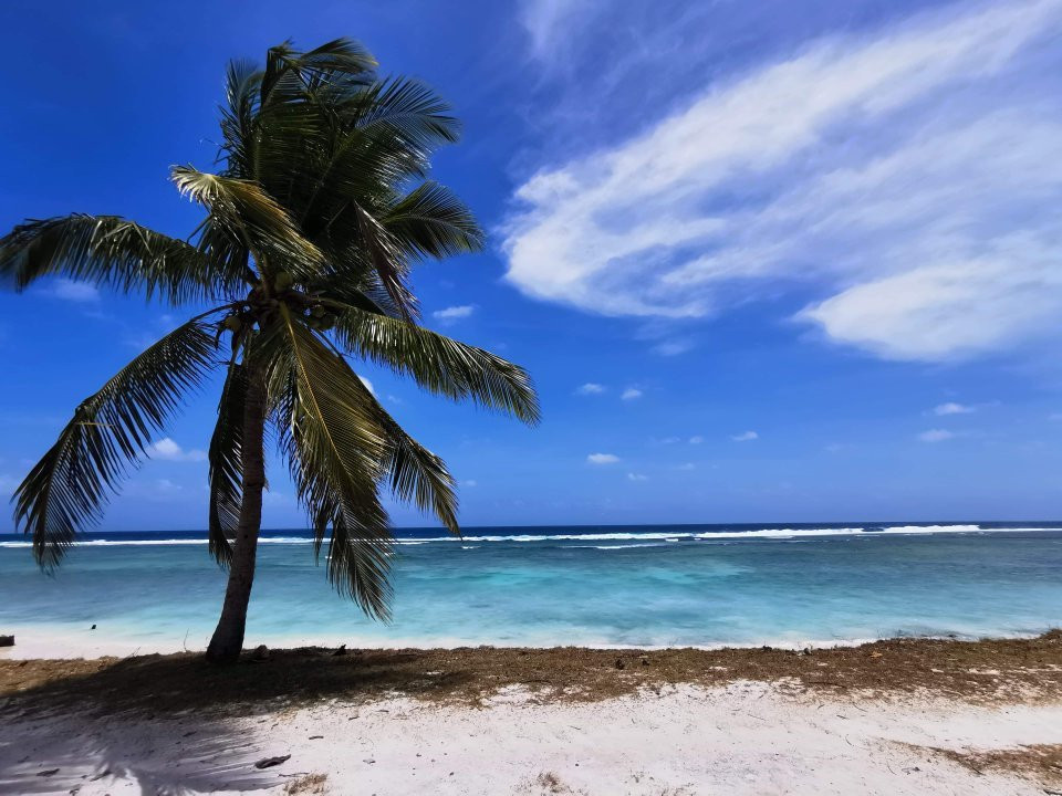 Cocos Beach Resort主图