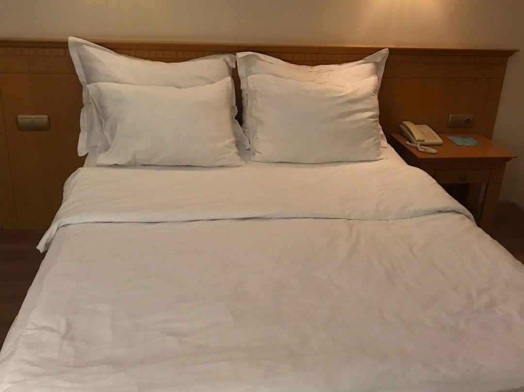 Usta Park Hotel主图
