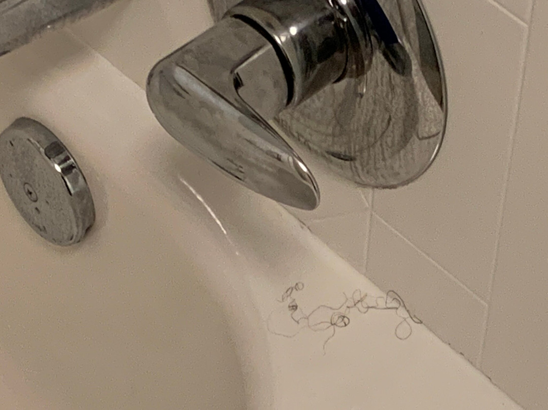 Homewood Suites By Hilton Akron Fairlawn, Oh主图