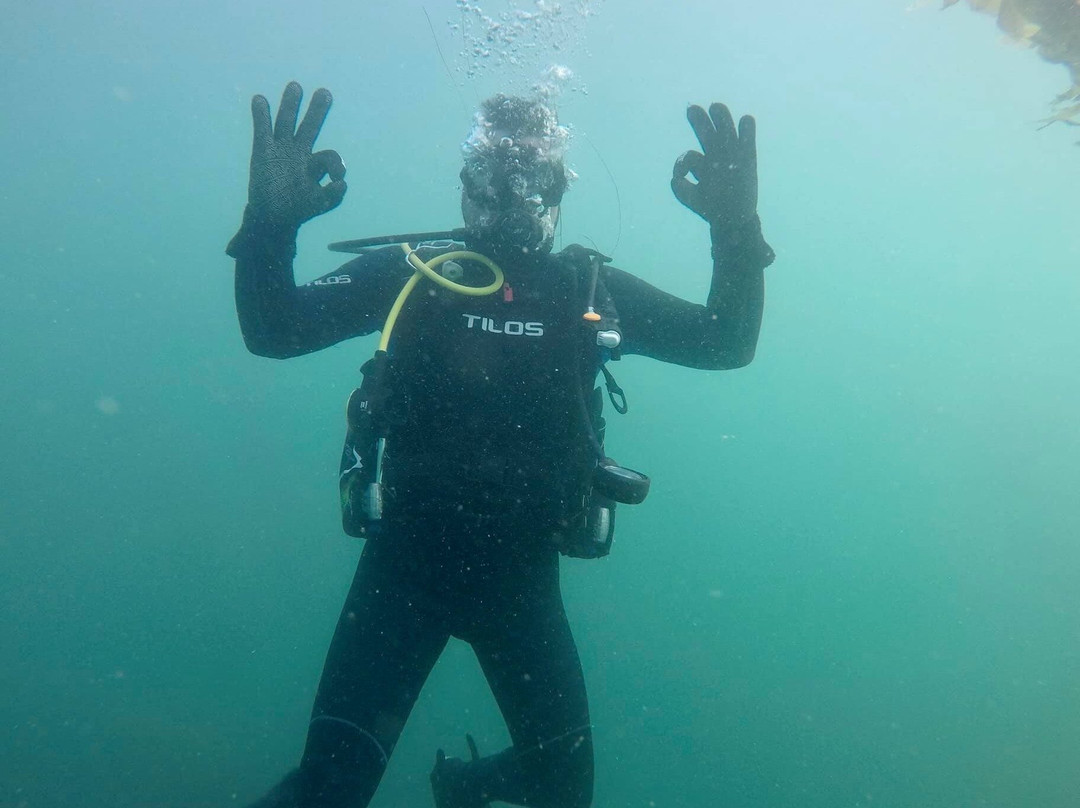 SCUBA SOCAL ADVENTURES-拉荷亚必去景点