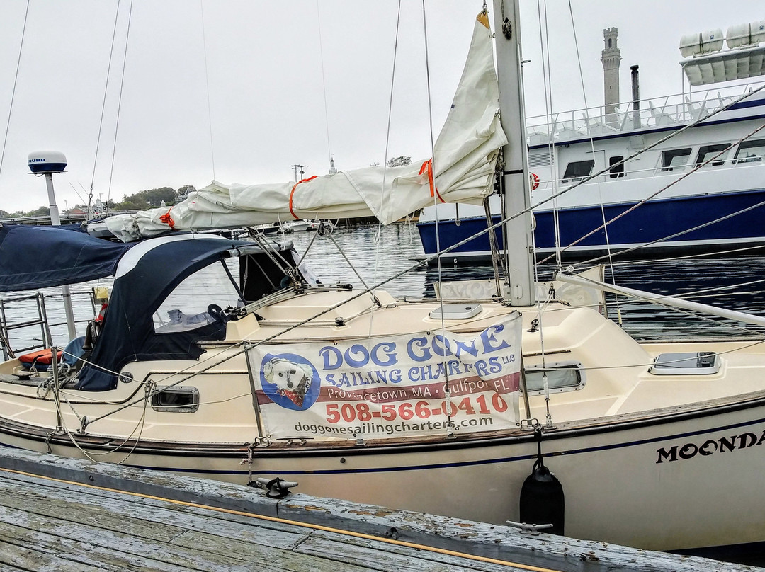 Dog Gone Sailing Charters景点图片