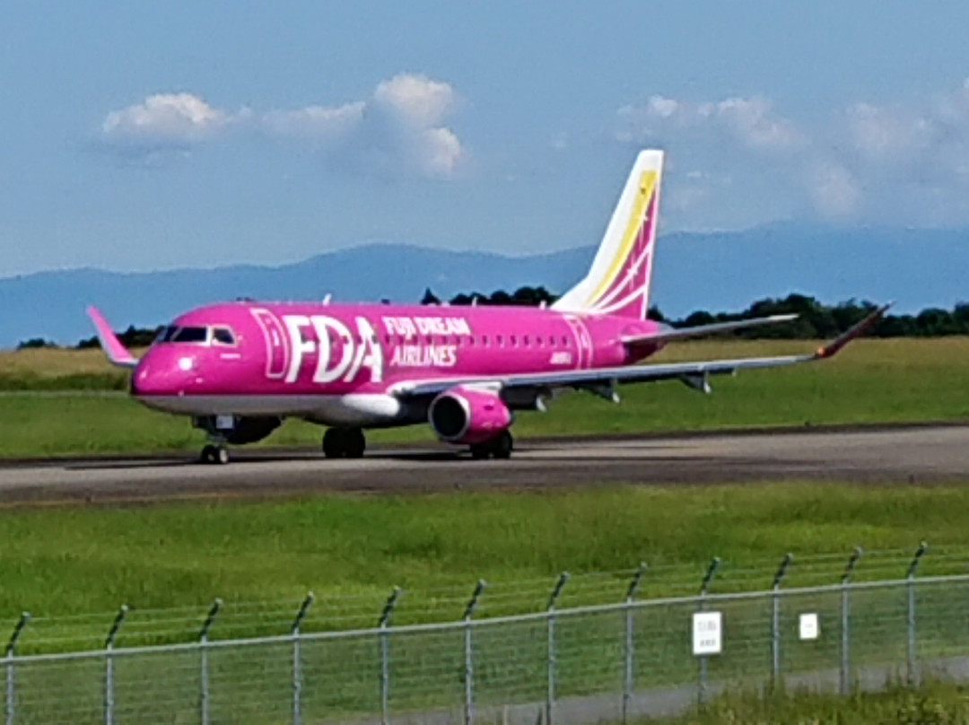 Mt. Fuji Shizuoka Airport View Open Space-牧之原市必去景点