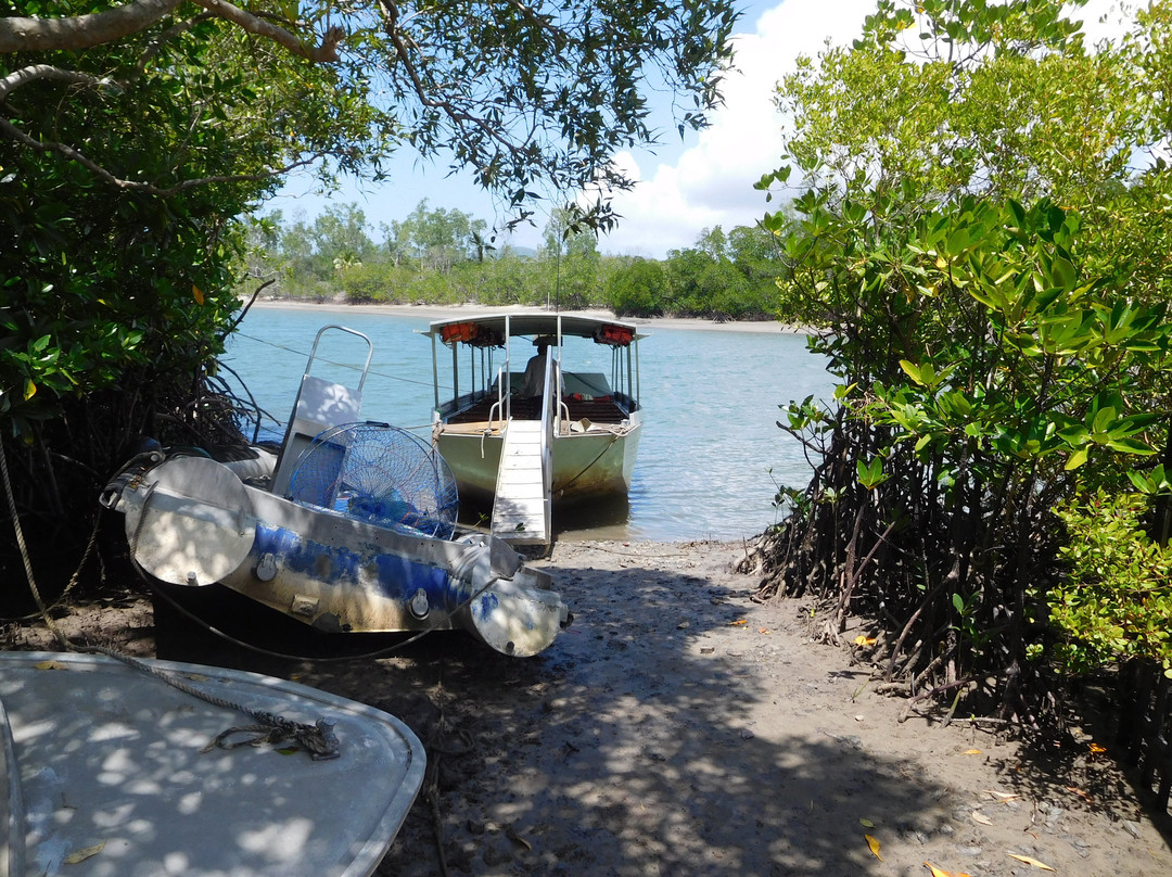 Cape Tribulation Wilderness Cruises-Cape Tribulation必去景点
