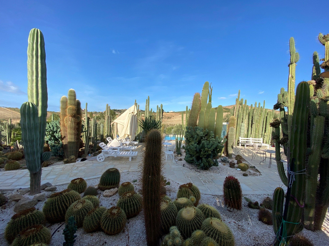 Garden Cactus - Relais, Suite de Charme and Botanical Park主图