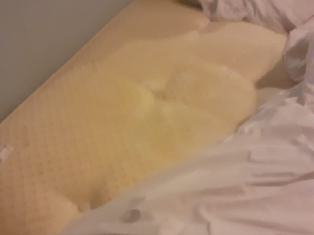 The White Horse Hotel主图