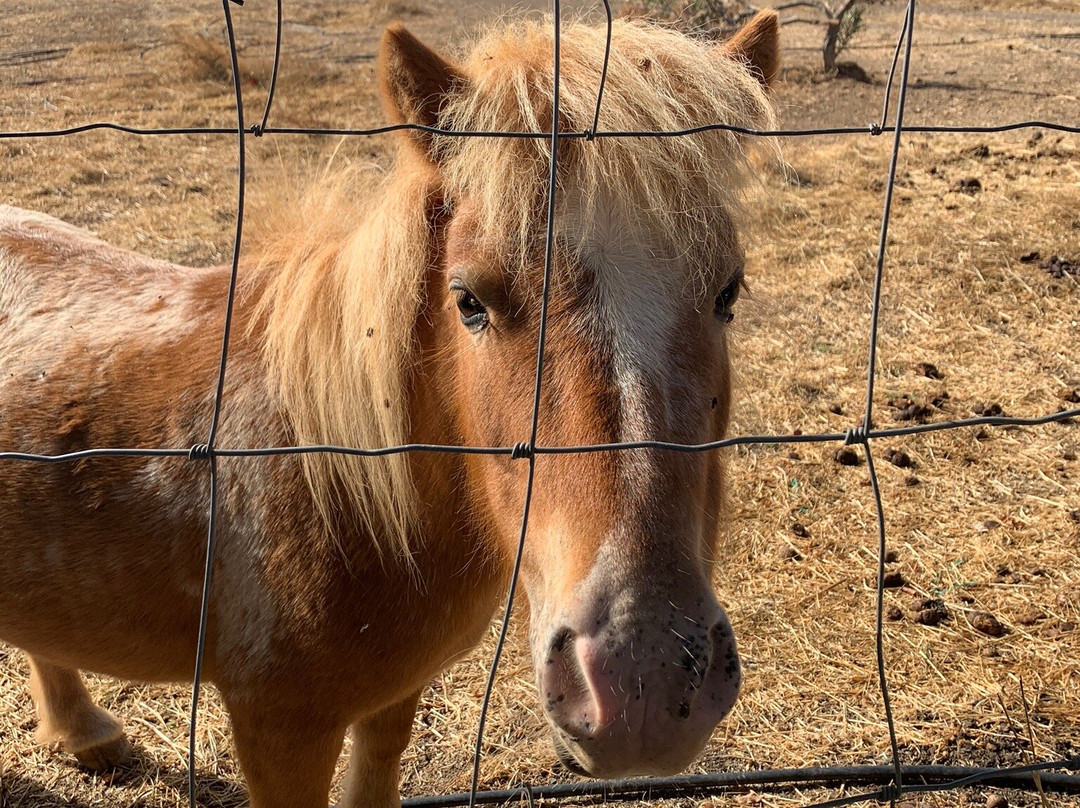 Monte Alerta Turismo Rural主图