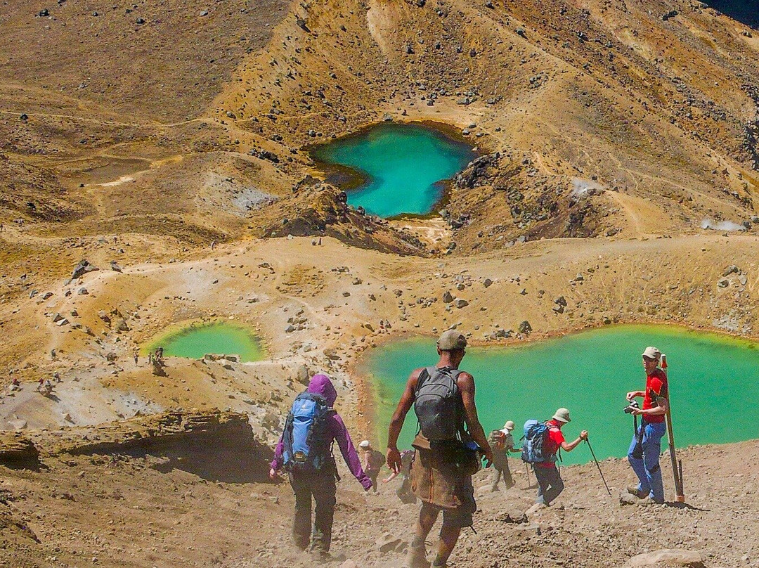 Excursions guidées à Dunedin, atelier photo et séjours thématiques en NZ-但尼丁必去景点