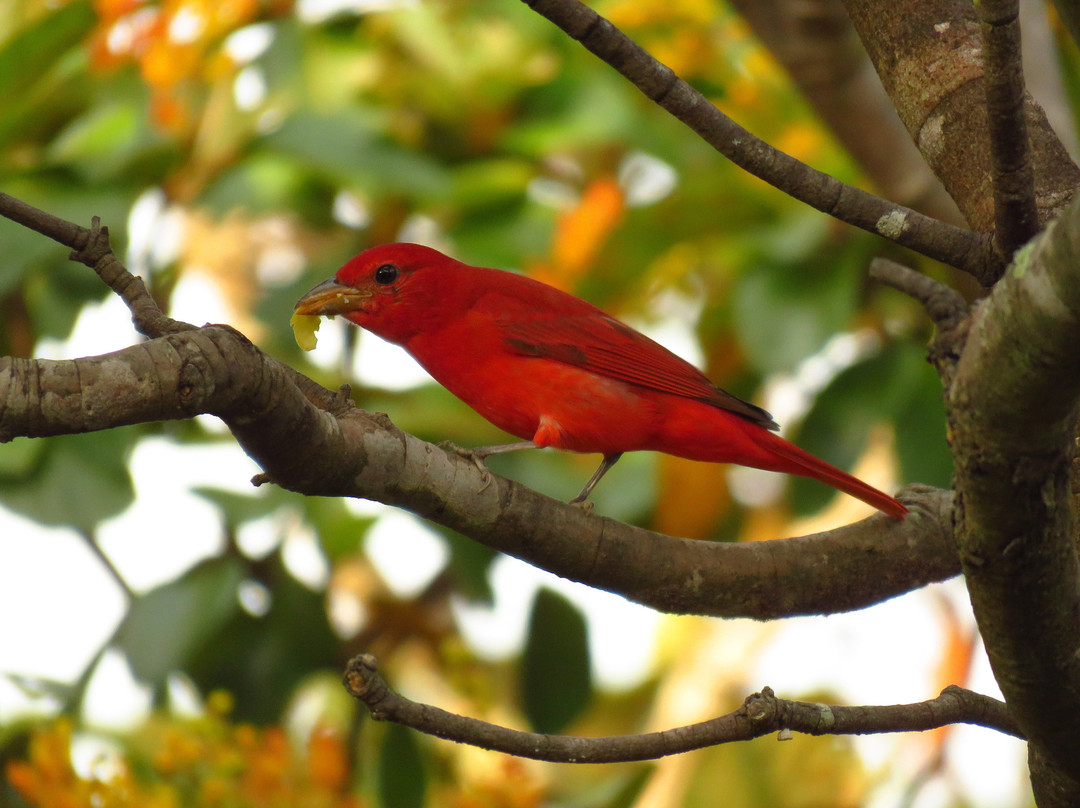 Hotel el Greco主图
