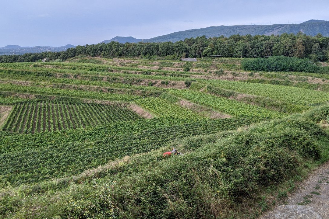 Azienda Vinicola Barone di Villagrande e Cantine景点图片