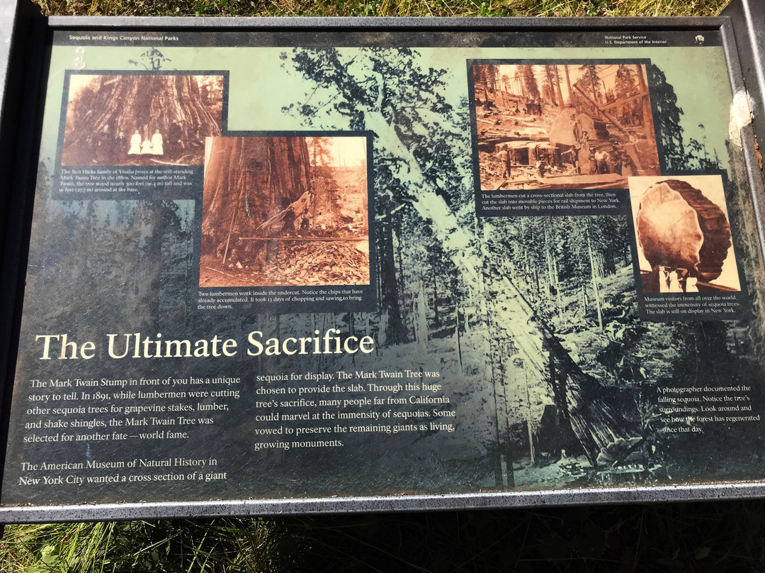 Big Stump Basin-红杉&国王峡谷国家公园必去景点