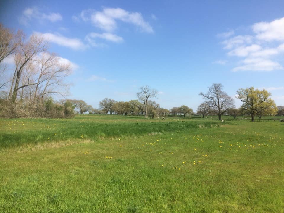 Springfield Barns Holiday Cottages