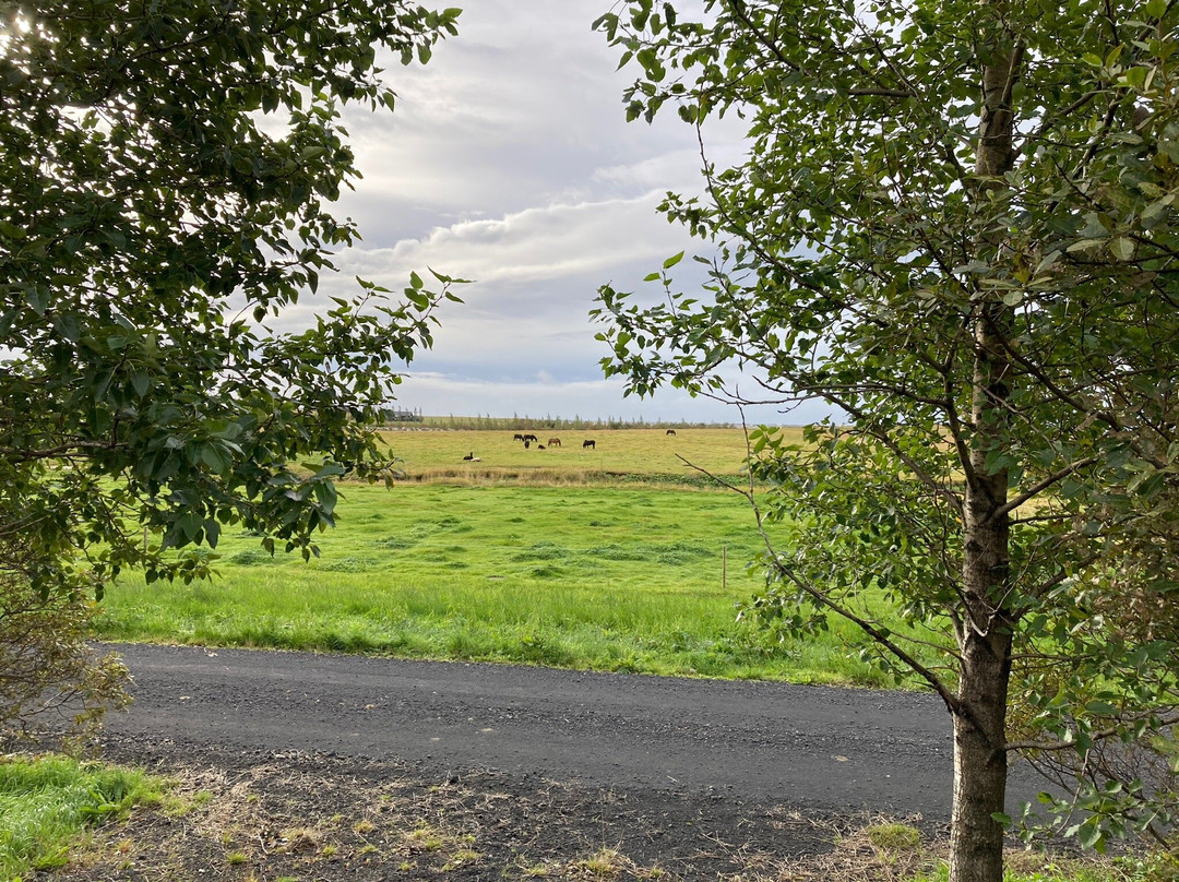 Elding Apartments主图