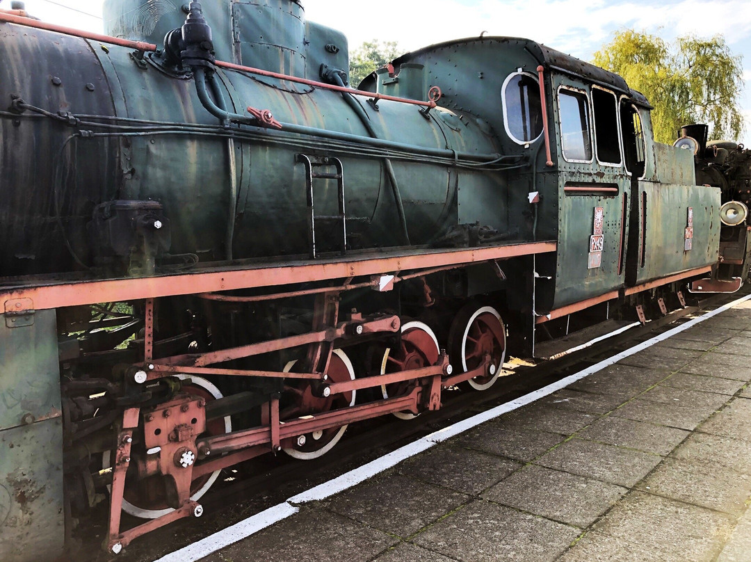Narrow Gauge Railway Museum in Sochaczew景点图片