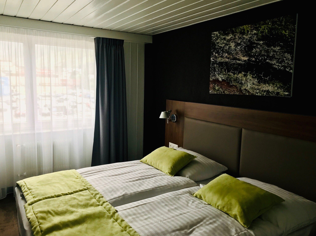 Hotel Campanile Martigny主图